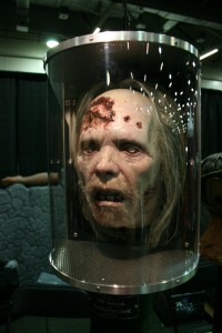 Zombie Head Display